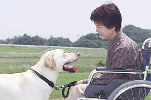 堺市でインプラントなら田中歯科へ